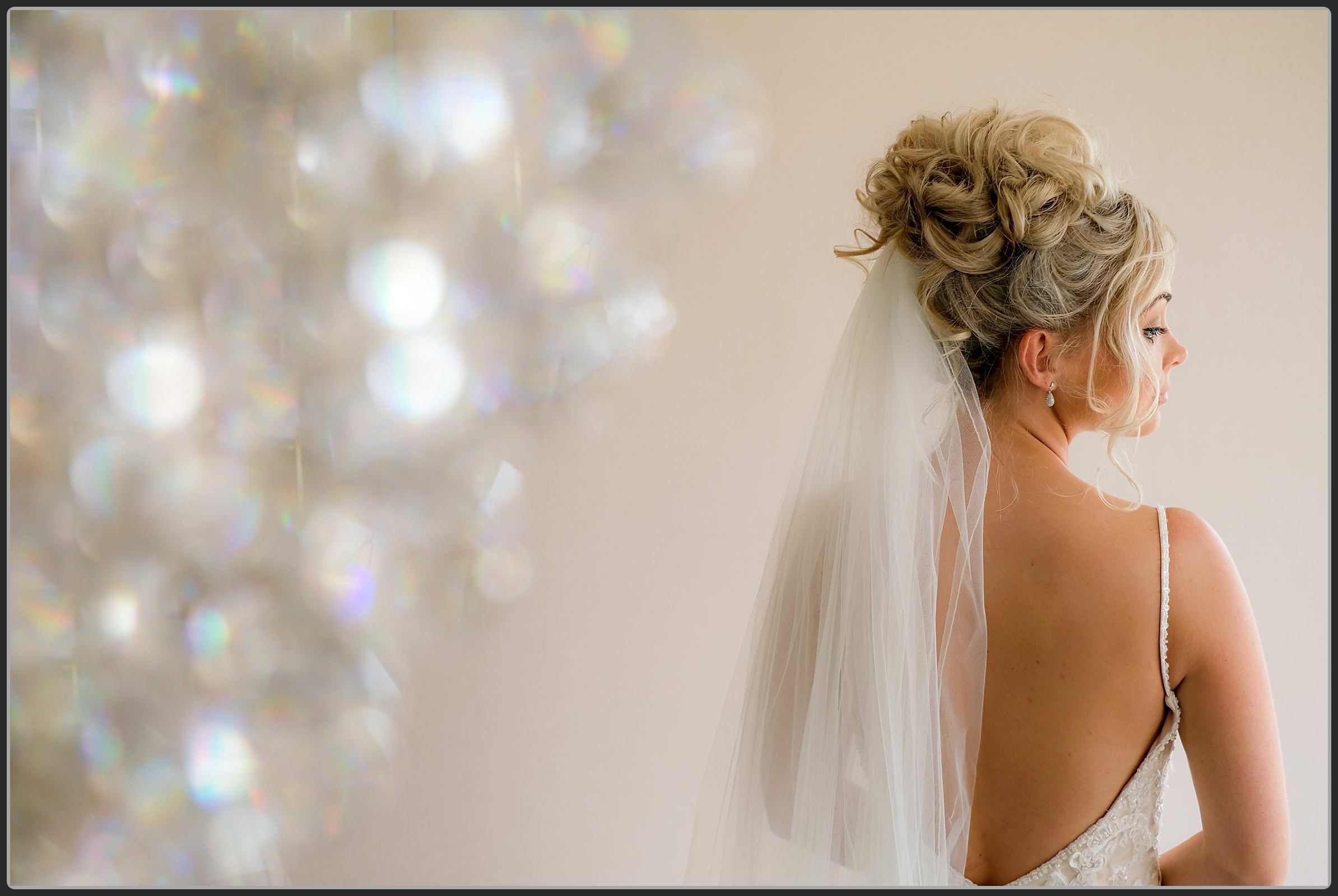 The brides veil