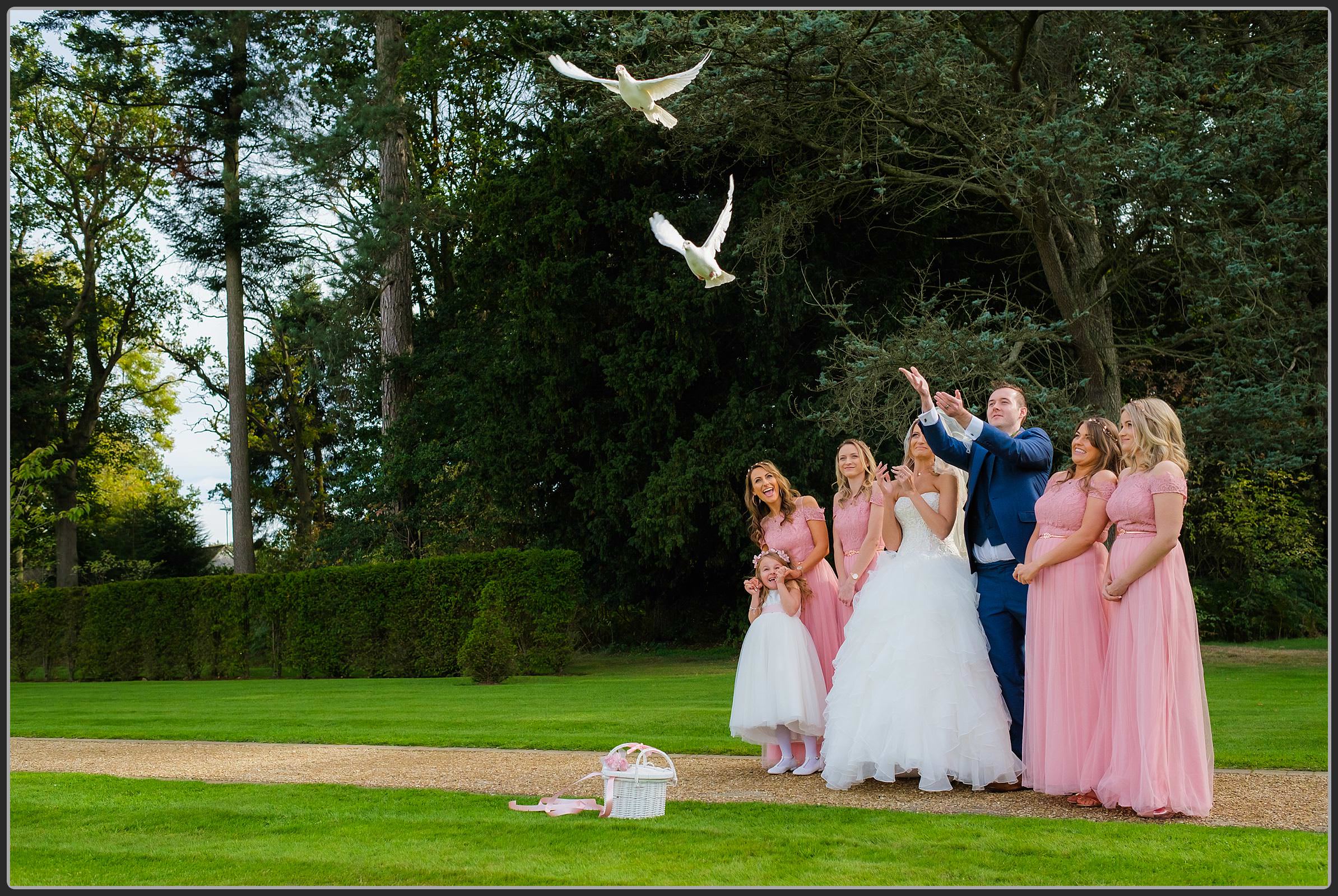 Dove release