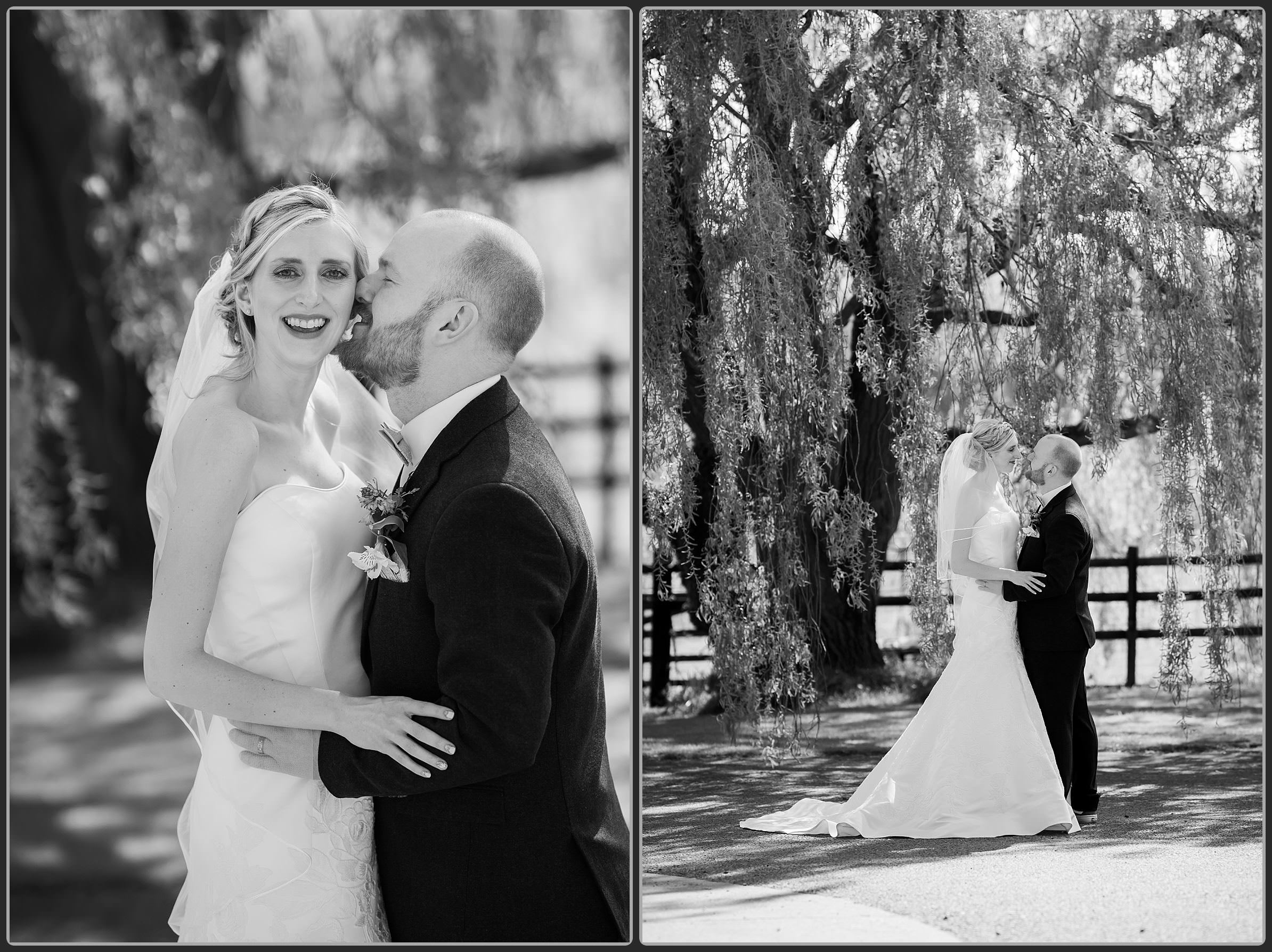 The bride snd groom together