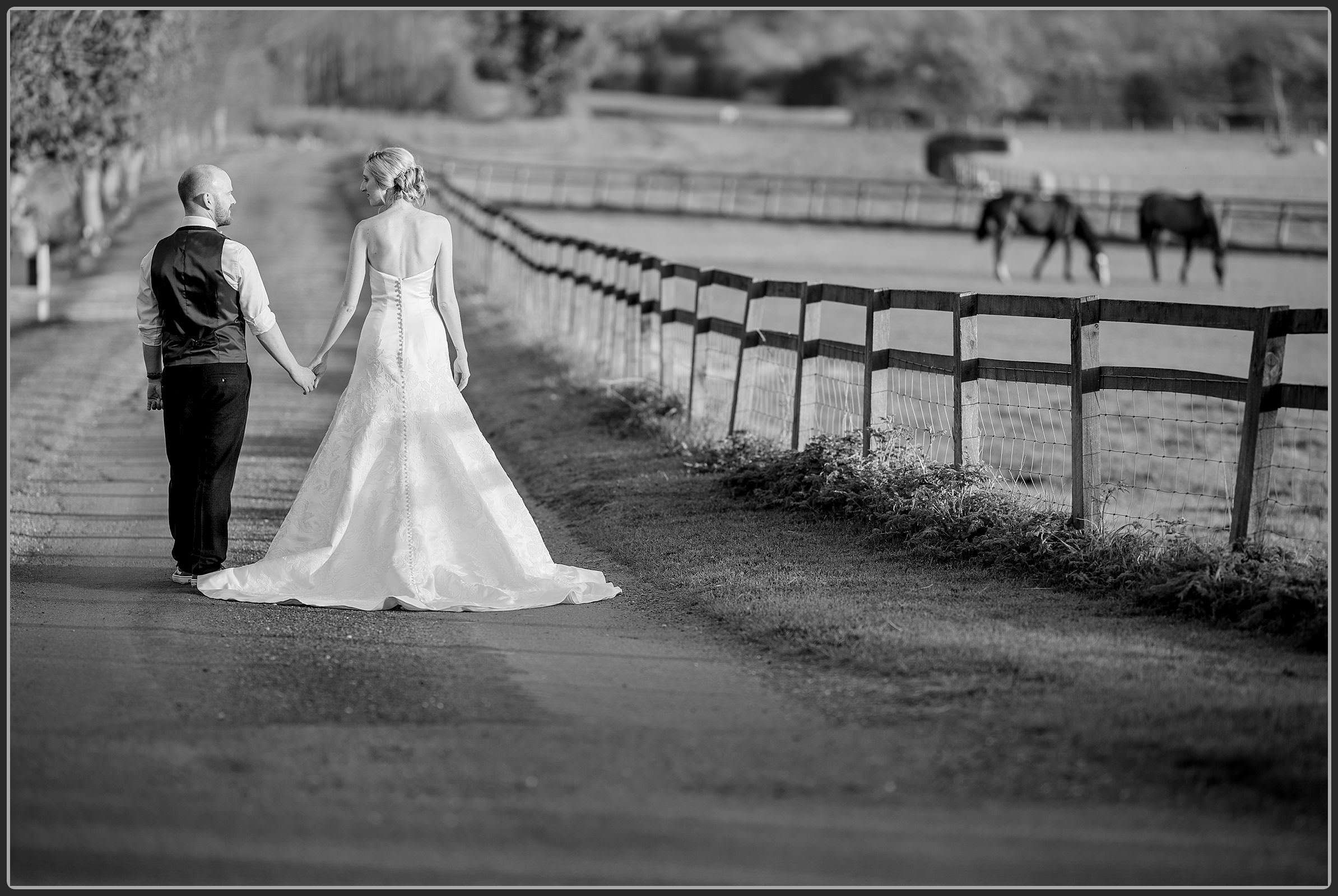 The bride and groom in the sunset